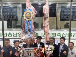 충남도, 한우 한 마리 가격이 6224만 원?! 기사 이미지