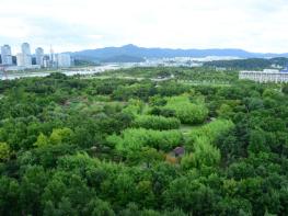 대전, 그린청정도시가 된 비결은? 기사 이미지