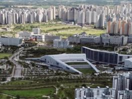 충남도 가로림만 ‘점박이물범 보호’ 230억 투입 기사 이미지