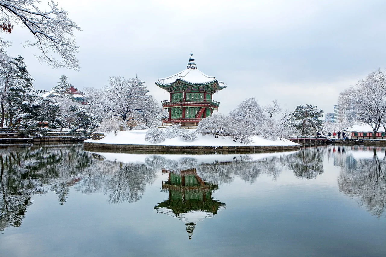 A Snowy Walk Through History Gyeongbokgung in Winter